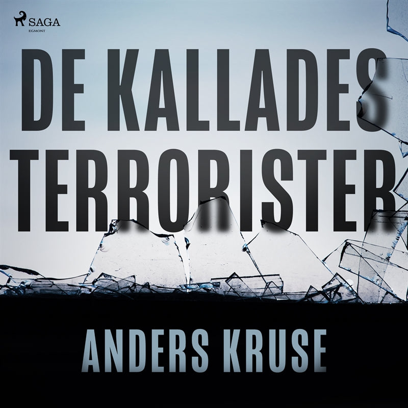 De kallades terrorister – Ljudbok
