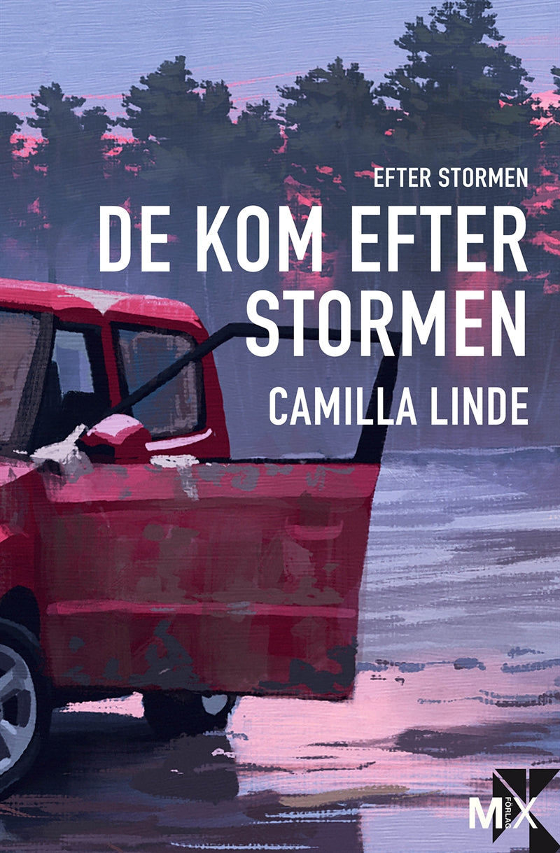 De kom efter stormen – E-bok