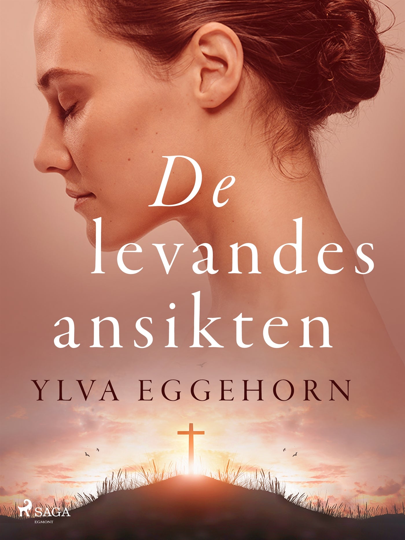 De levandes ansikten – E-bok