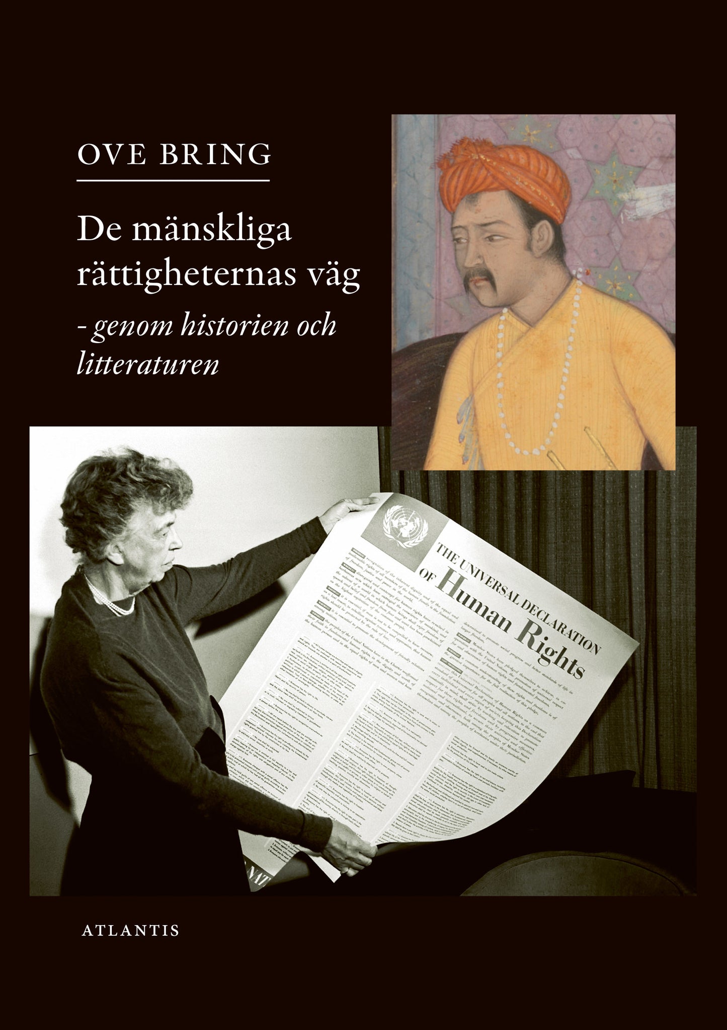 De mänskliga rättigheternas väg : genom historien och litteraturen – E-bok