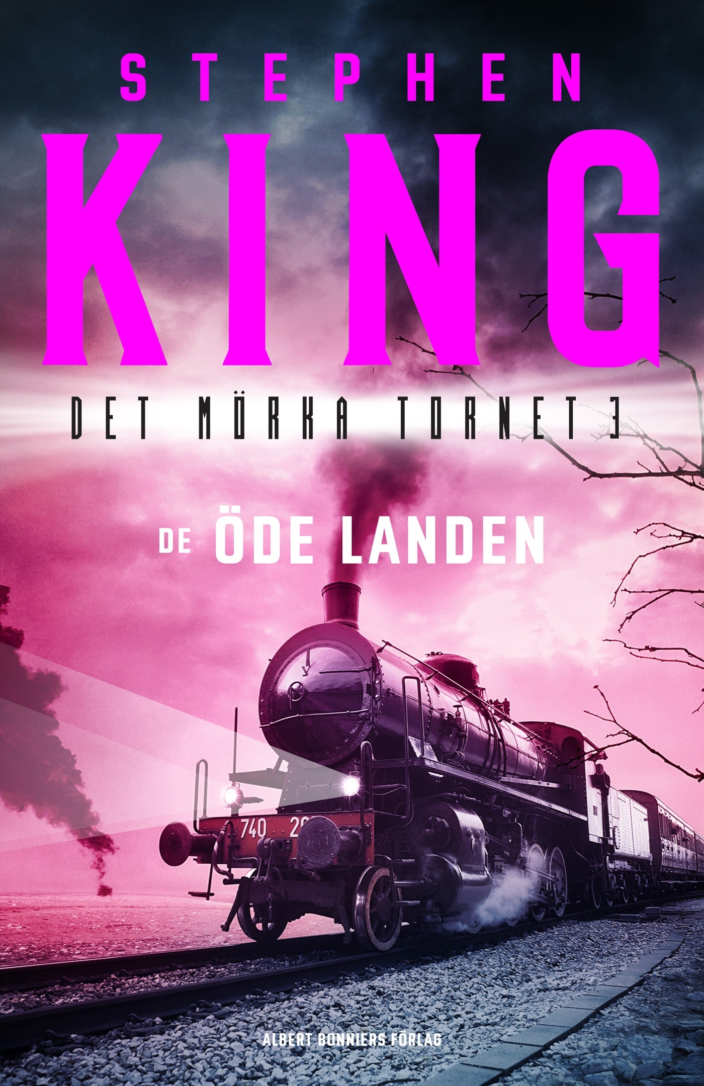 De öde landen – E-bok