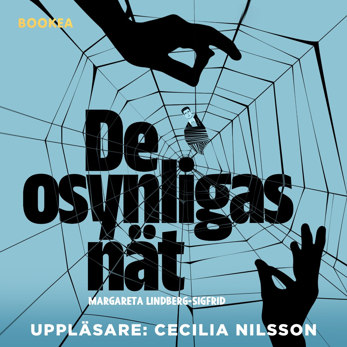 De osynligas nät – Ljudbok