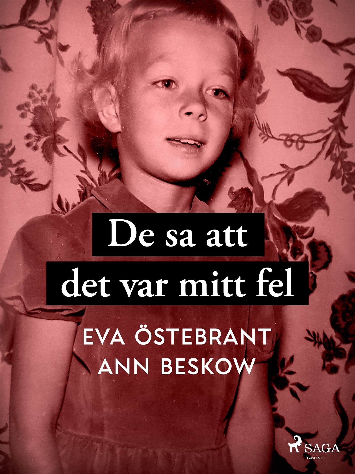 De sa att det var mitt fel – E-bok
