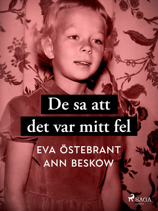 De sa att det var mitt fel – E-bok