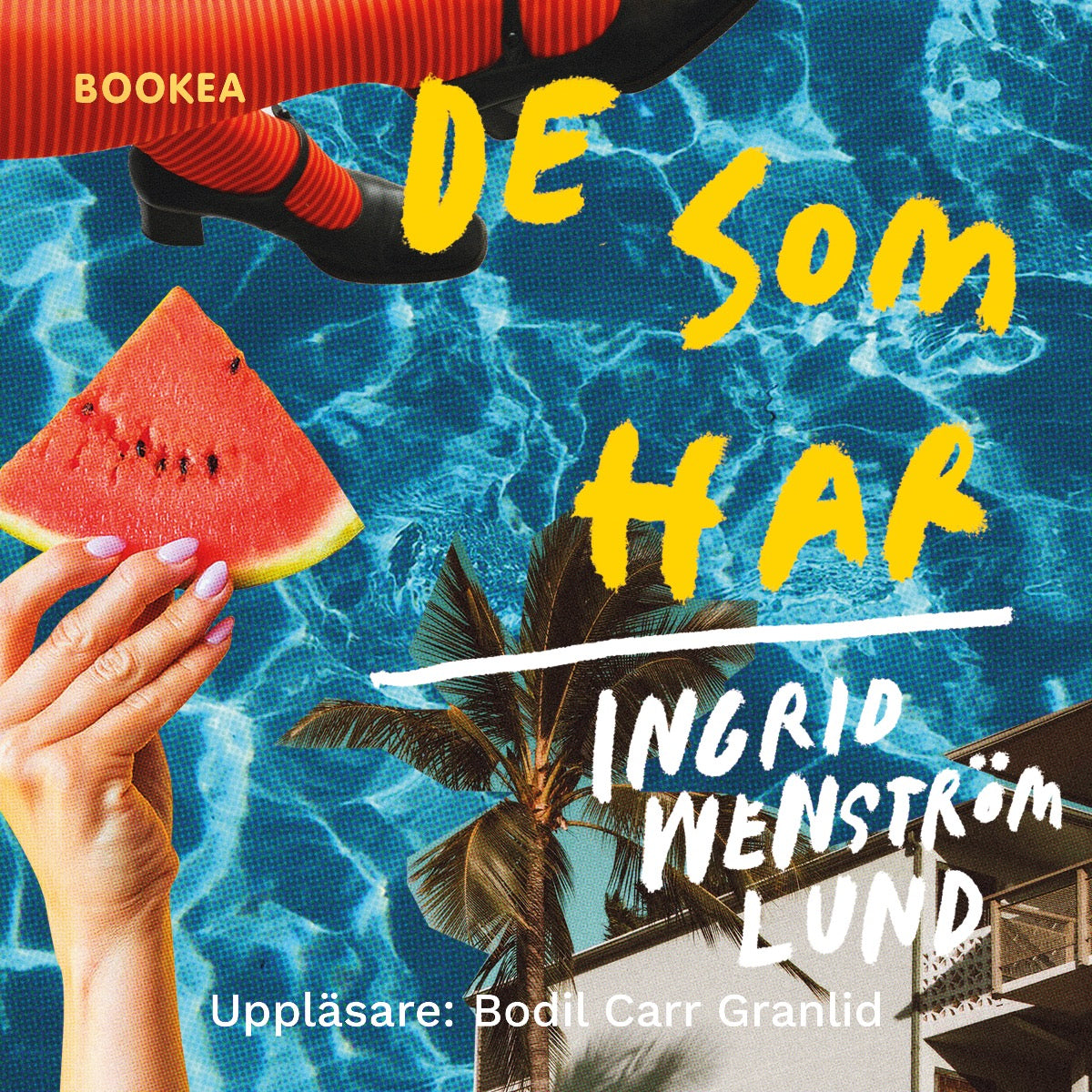 De som har – Ljudbok