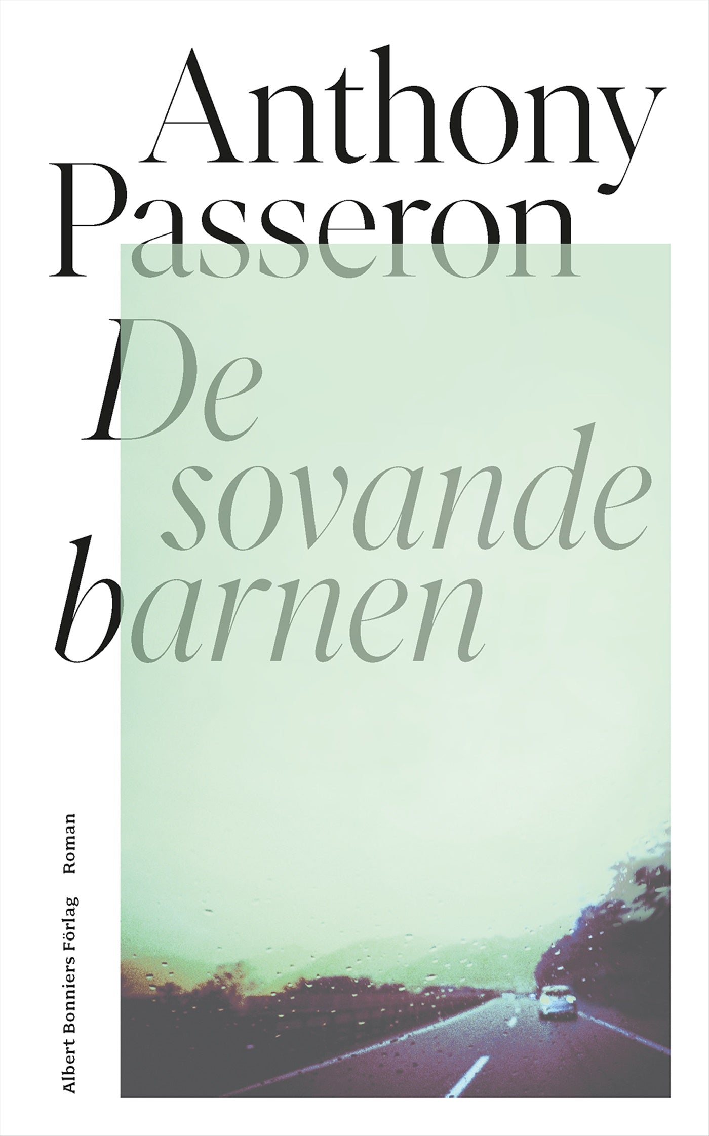 De sovande barnen – E-bok