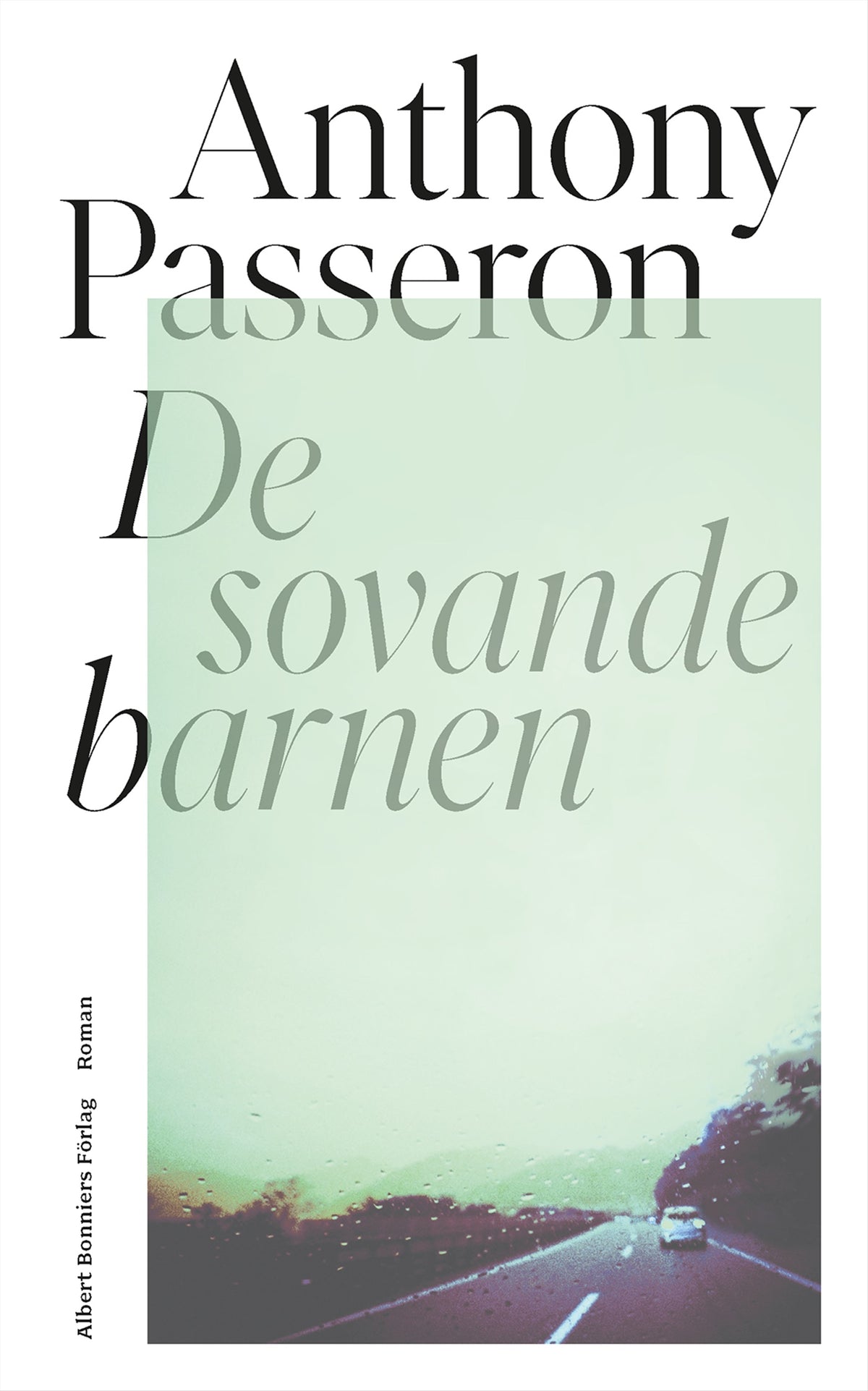 De sovande barnen – E-bok