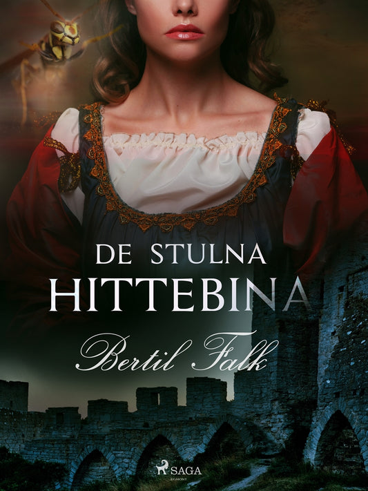 De stulna hittebina – E-bok