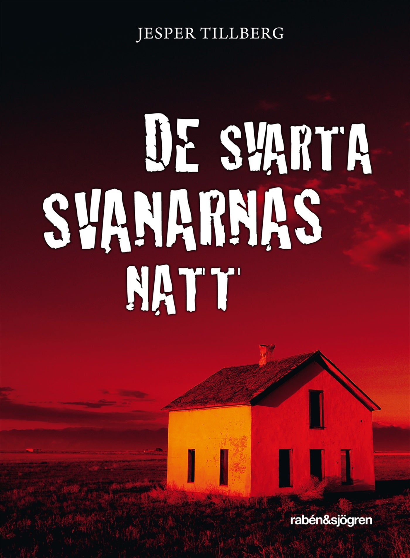 De svarta svanarnas natt – E-bok