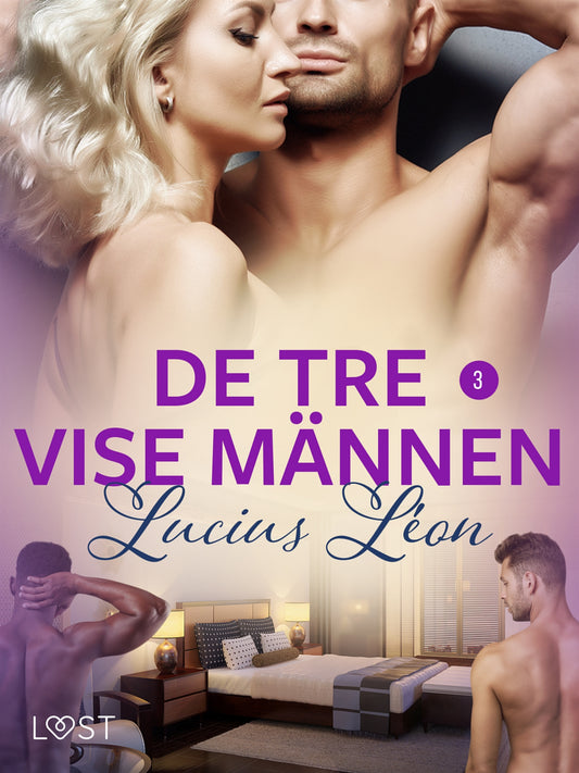 De tre vise männen 3 - BDSM erotik – E-bok