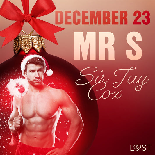 December 23: Mr S – An Erotic Christmas Calendar – Ljudbok
