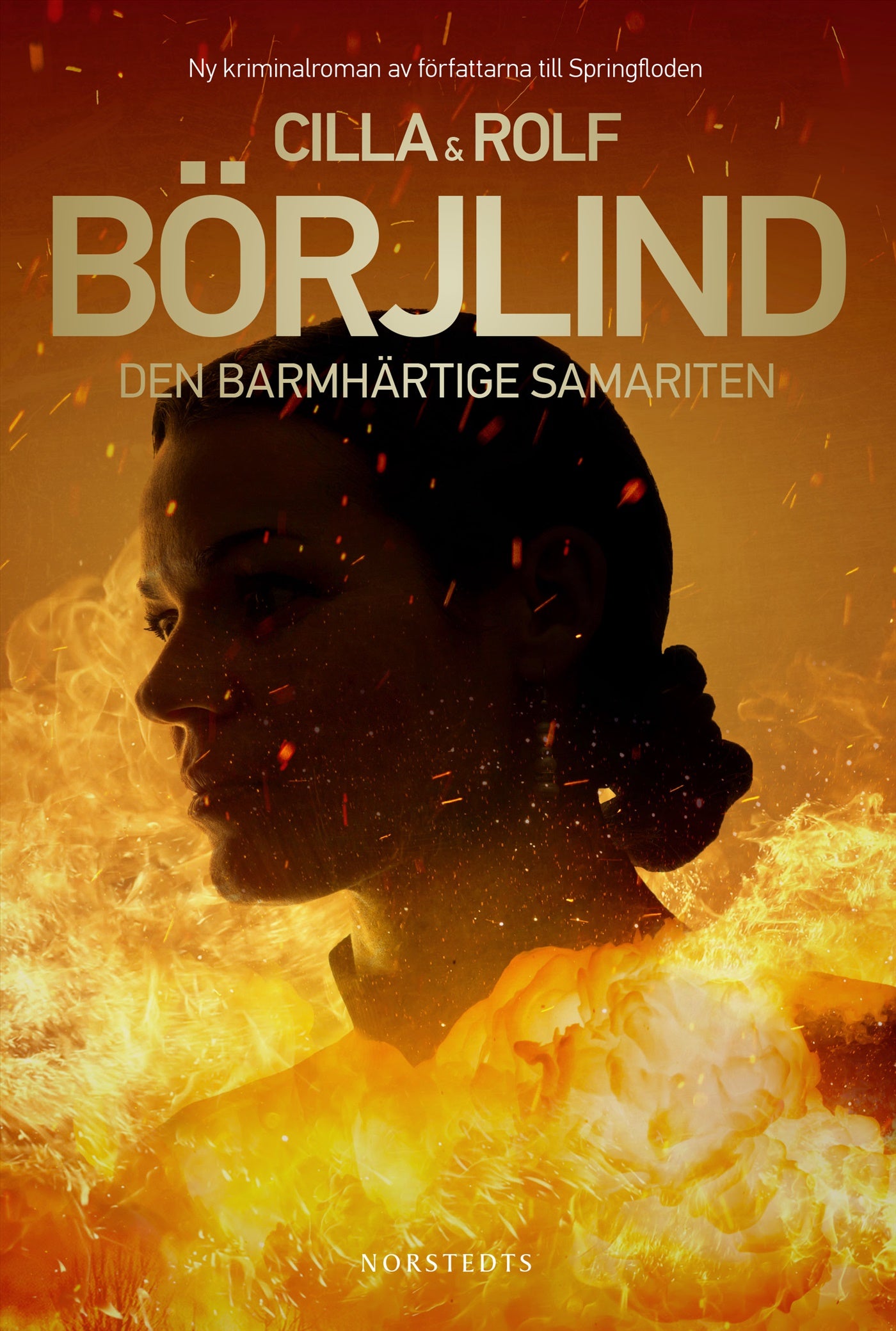 Den barmhärtige samariten – E-bok