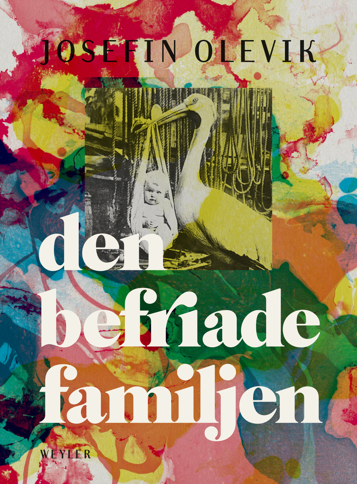 Den befriade familjen – E-bok