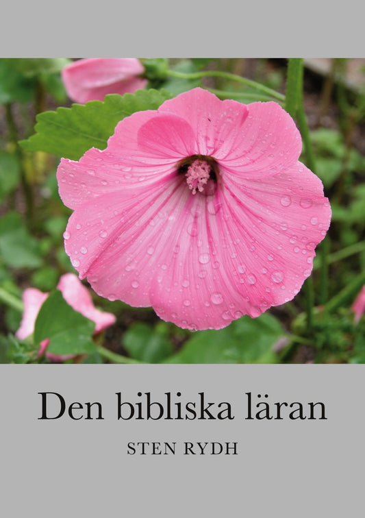 Den bibliska läran: En sammanfattning av den evangelisk-lutherska kyrkans tro och bekännelse – E-bok