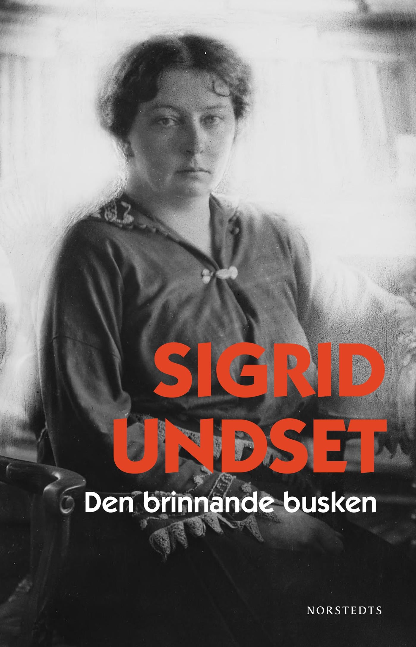 Den brinnande busken – E-bok