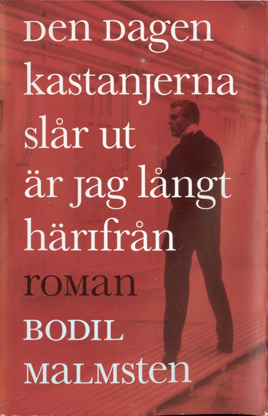 Den dagen kastanjerna slår ut är jag långt härifrån – E-bok
