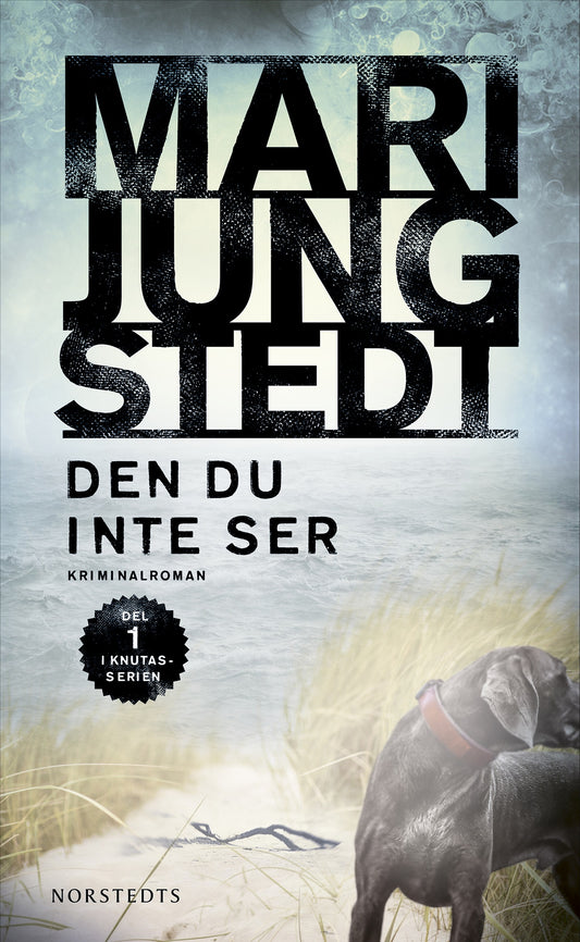 Den du inte ser – E-bok