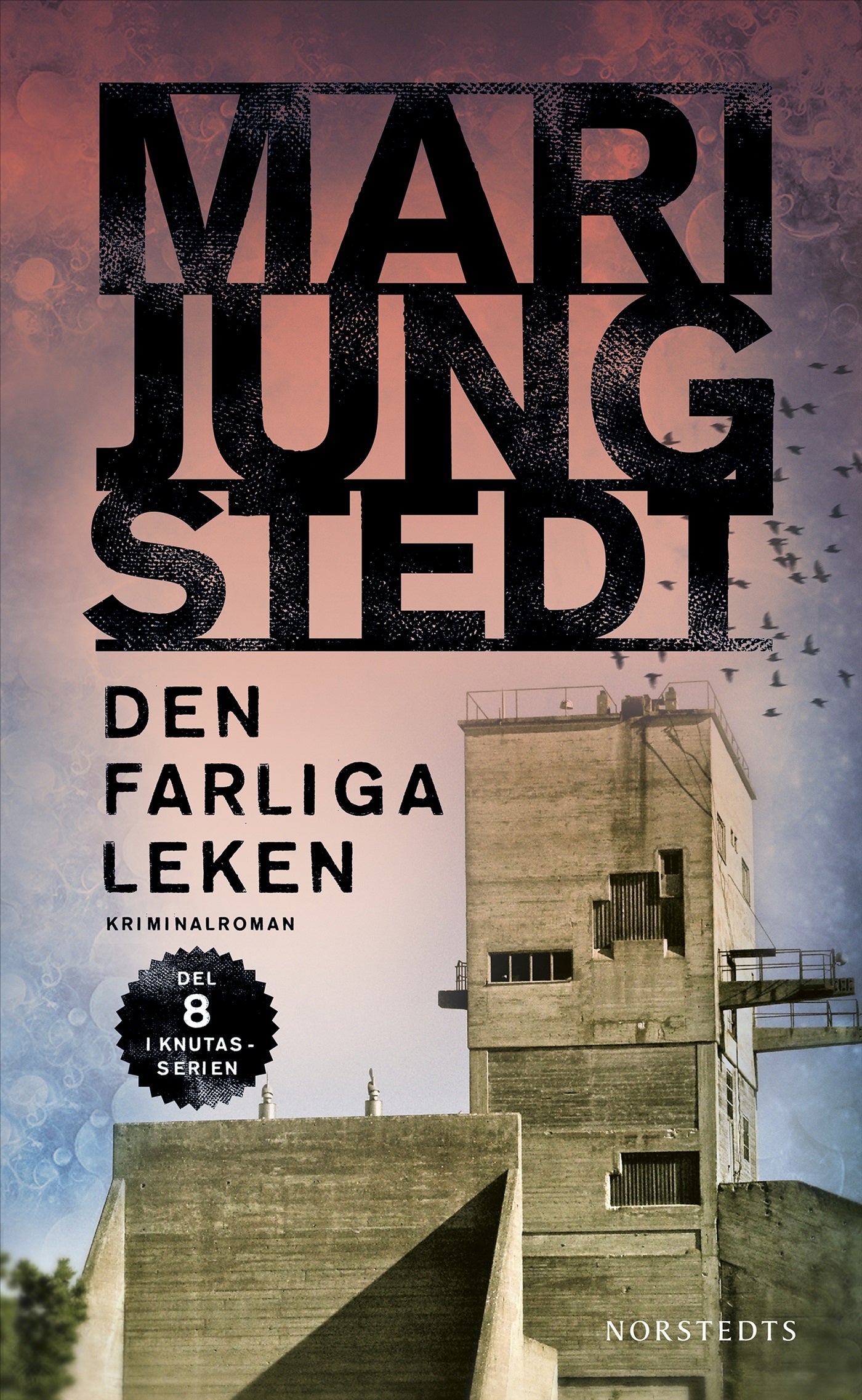 Den farliga leken – E-bok