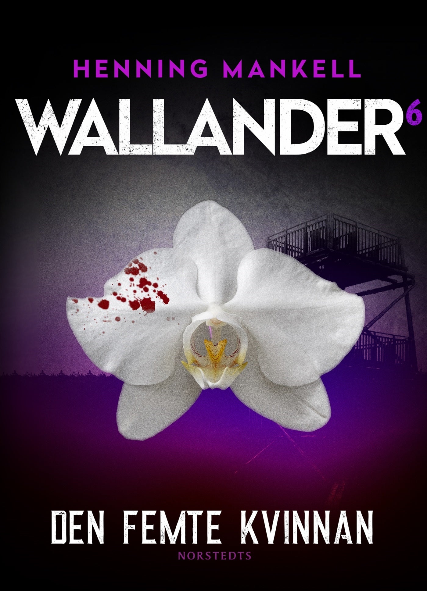 Den femte kvinnan – E-bok