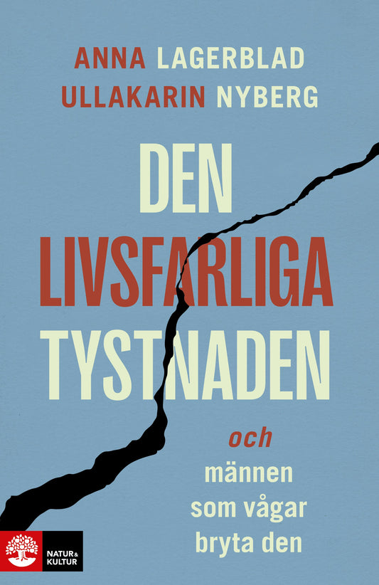 Den livsfarliga tystnaden : och männen som vågar bryta den – E-bok