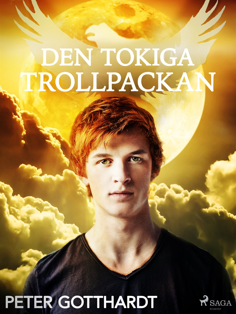 Den magiska falken 1: Den tokiga trollpackan – E-bok