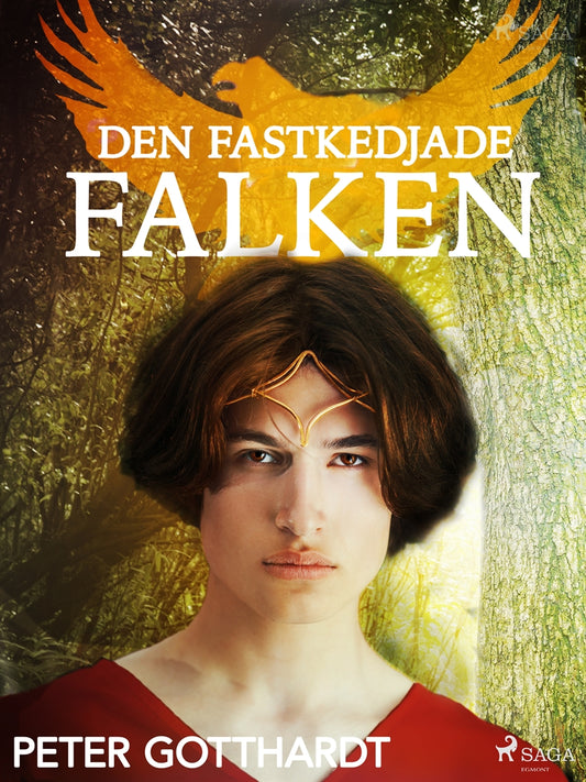 Den magiska falken 2: Den fastkedjade falken – E-bok