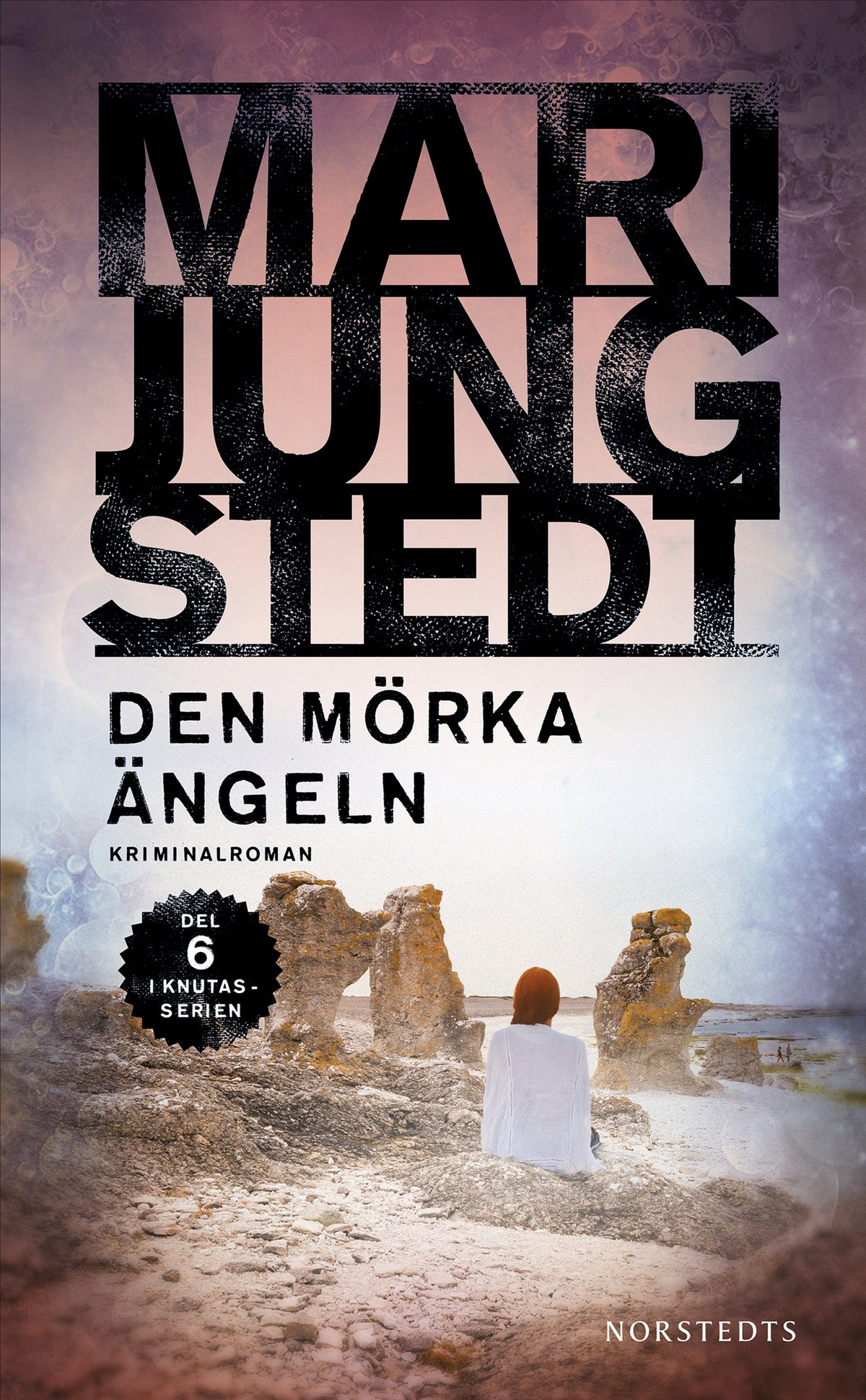 Den mörka ängeln – E-bok