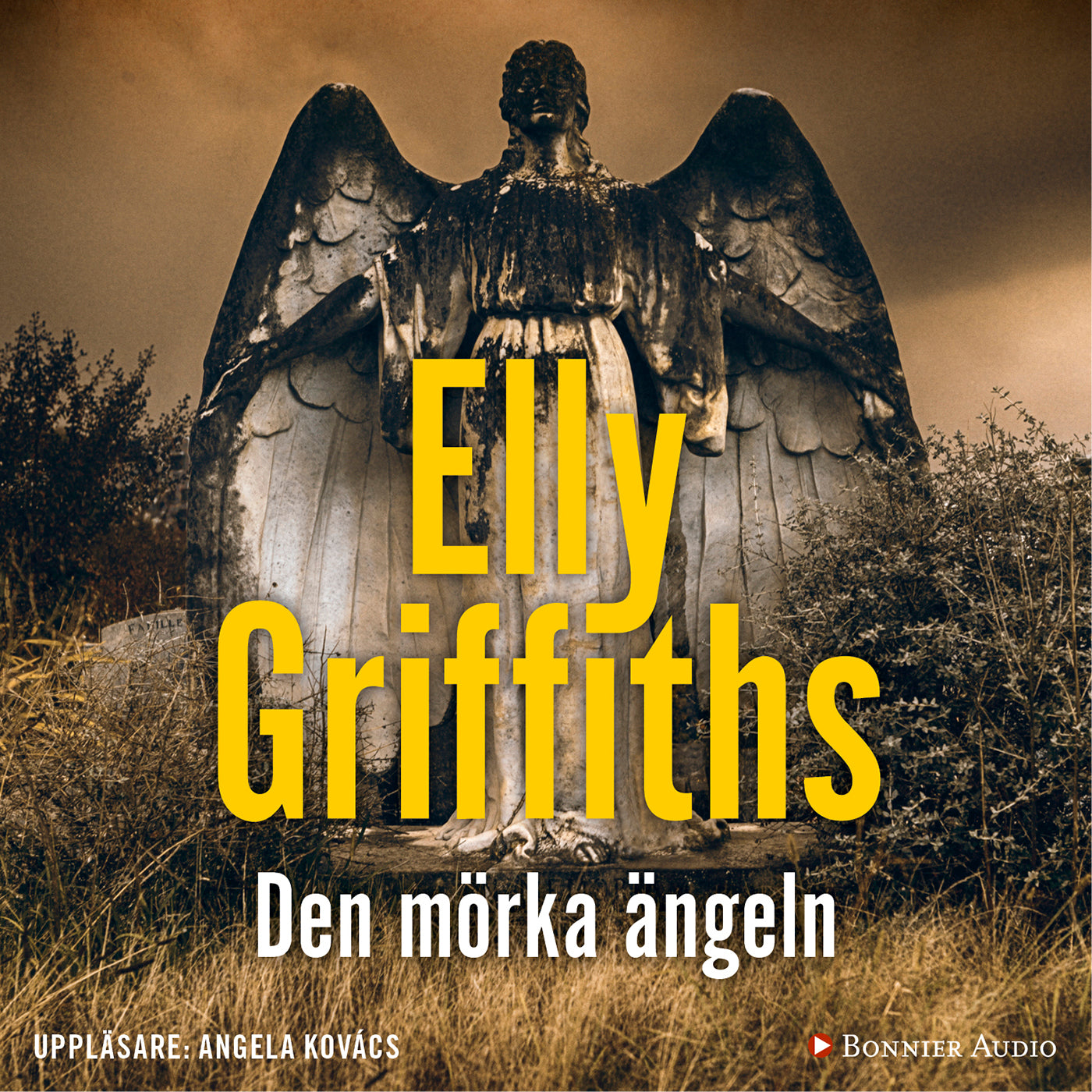 Den mörka ängeln – Ljudbok