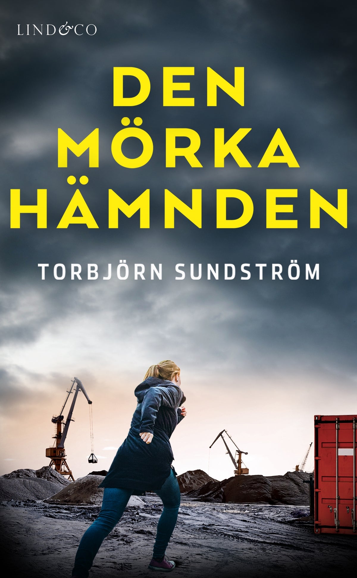 Den mörka hämnden – E-bok