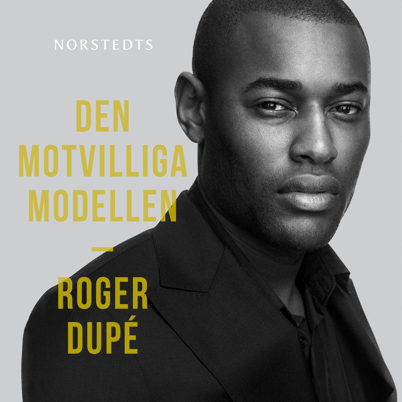 Den motvilliga modellen – Ljudbok