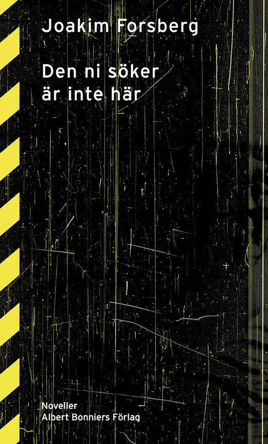 Den ni söker är inte här : Noveller – E-bok