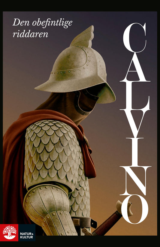 Den obefintlige riddaren – E-bok