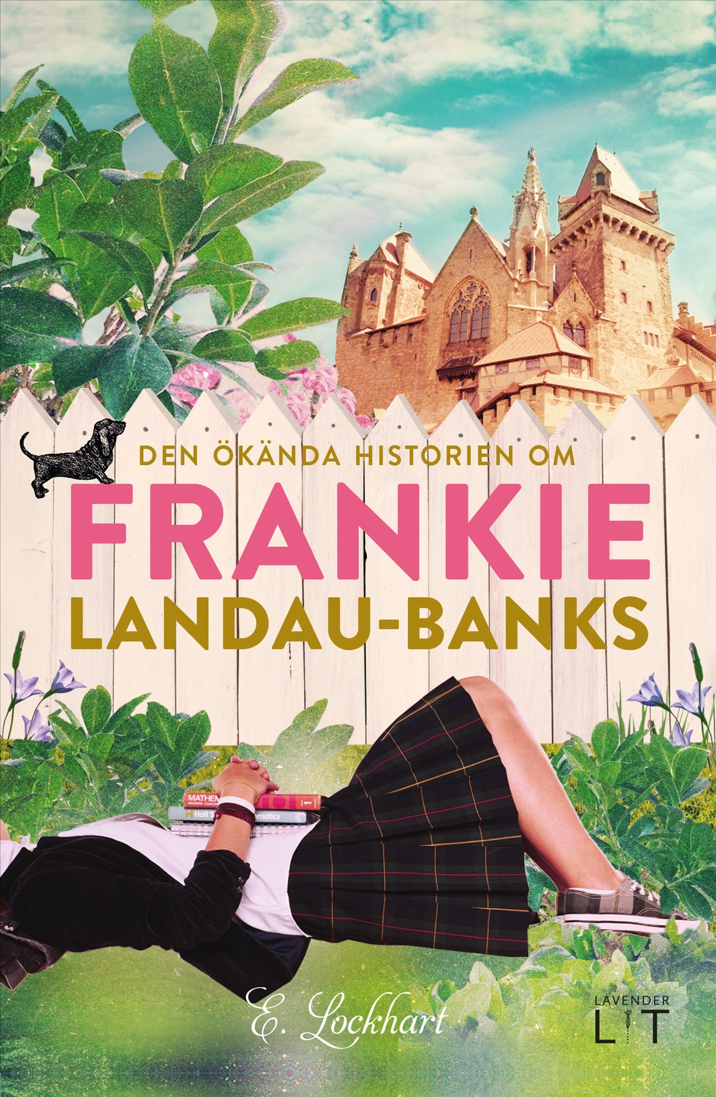 Den ökända historien om Frankie Landau-Banks – E-bok