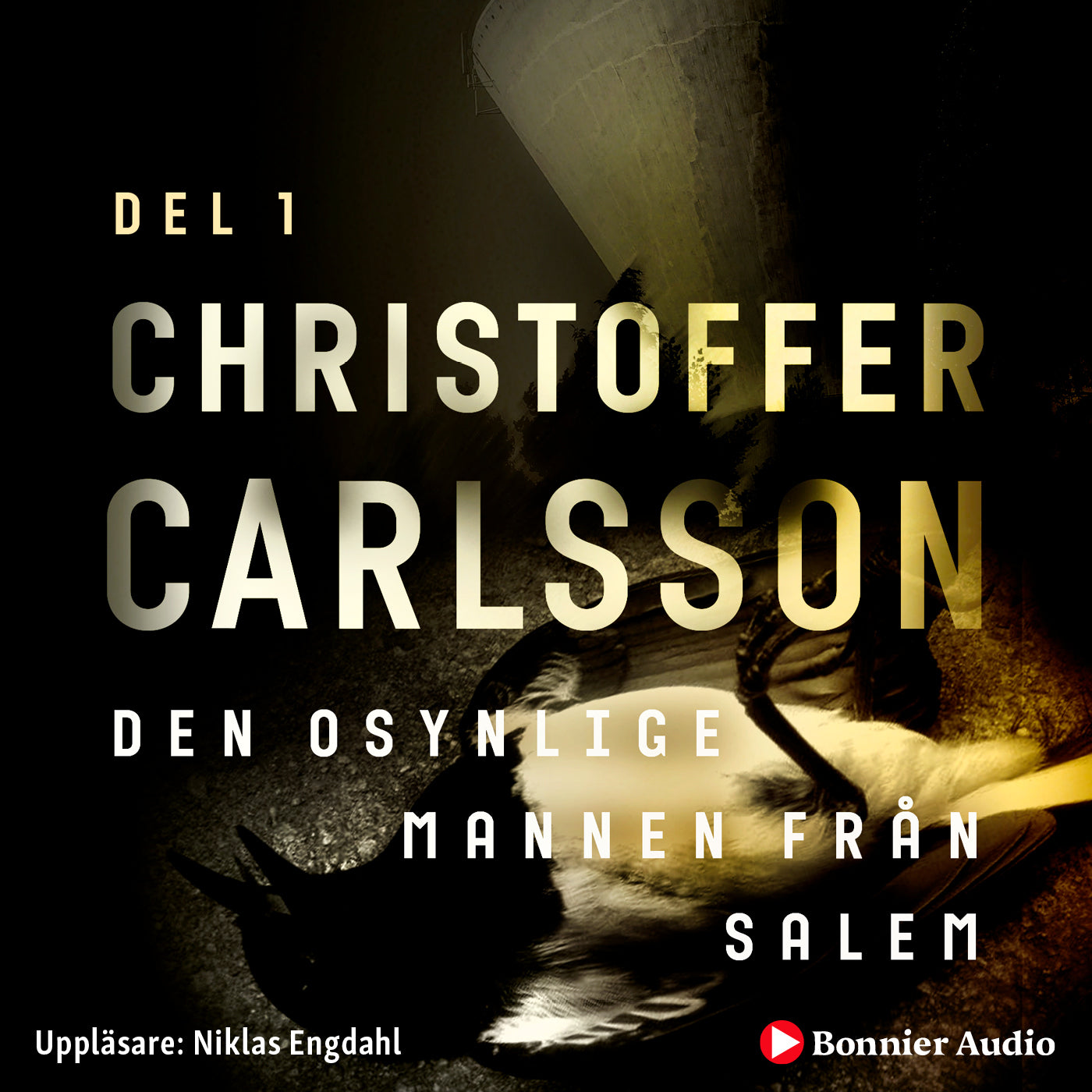 Den osynlige mannen från Salem – Ljudbok