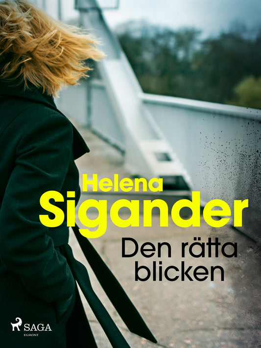 Den rätta blicken – E-bok