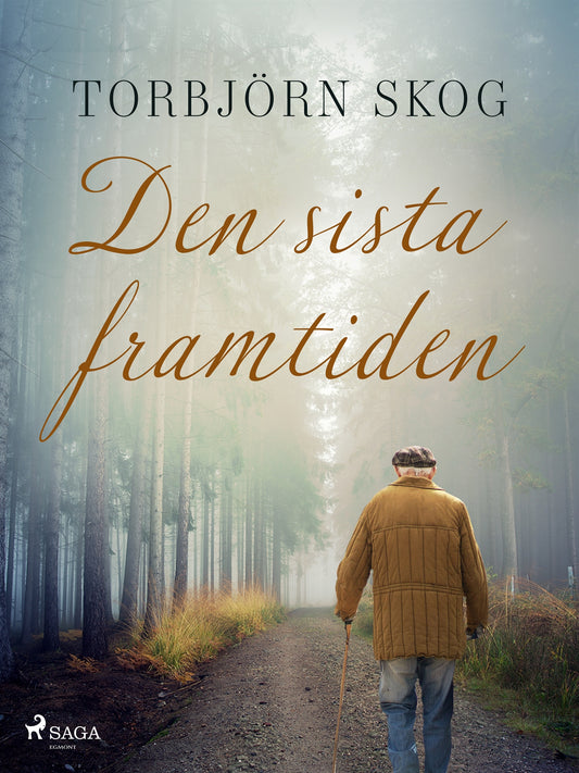 Den sista framtiden – E-bok