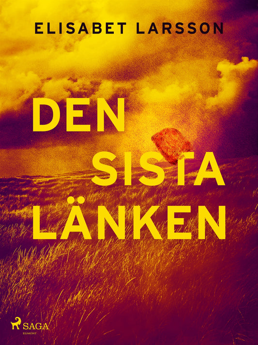 Den sista länken – E-bok