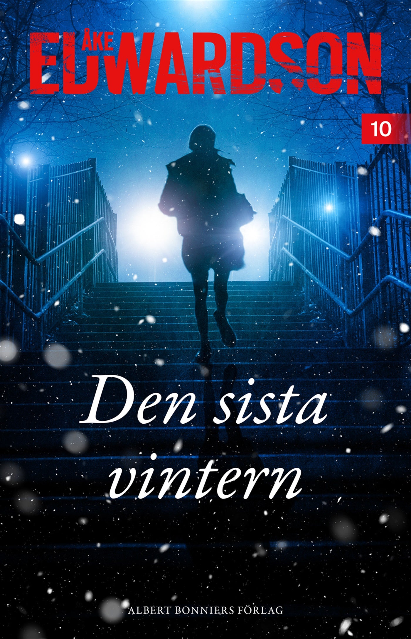 Den sista vintern – E-bok