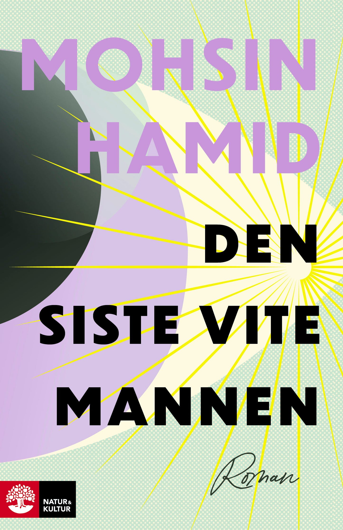 Den siste vite mannen – E-bok