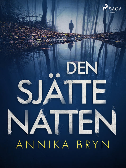 Den sjätte natten – E-bok