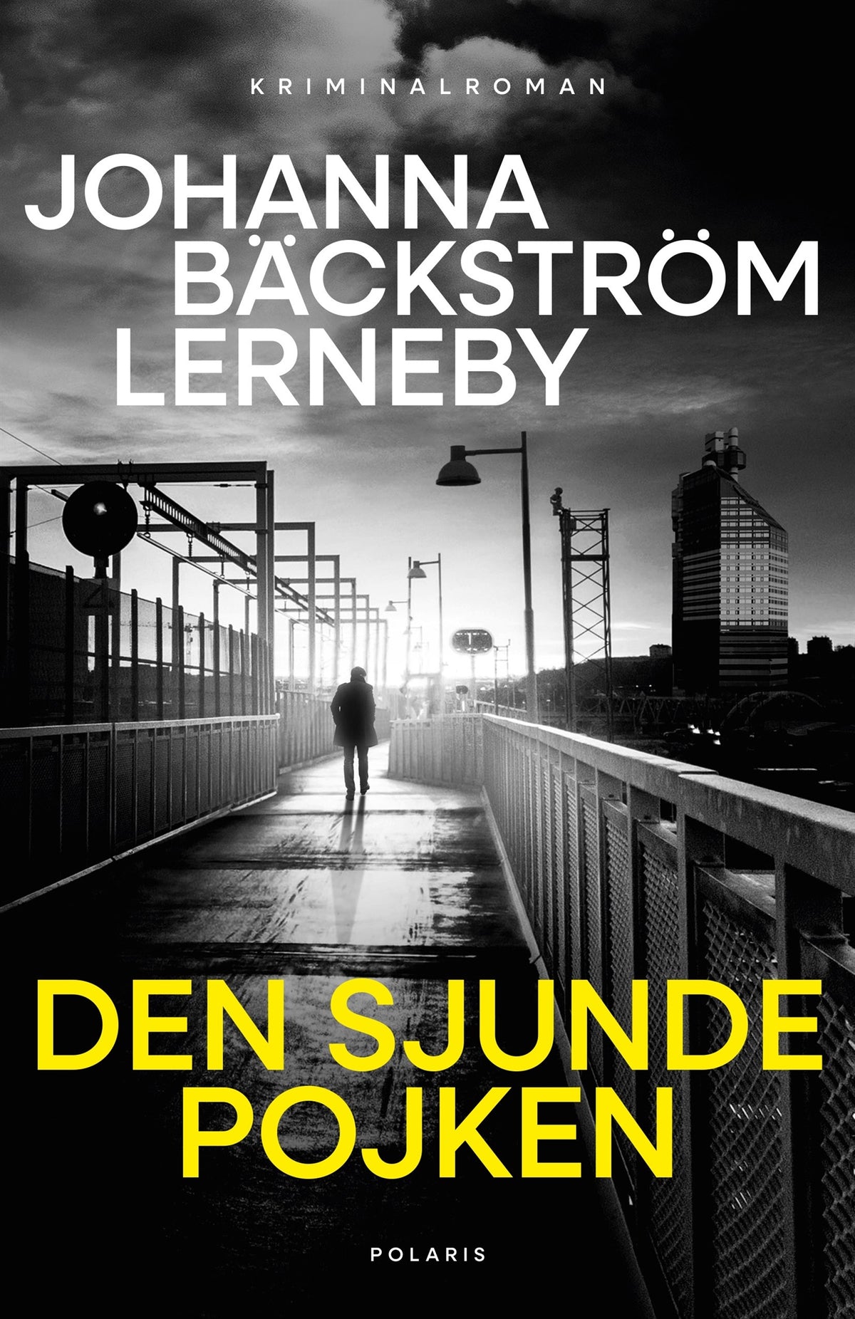 Den sjunde pojken – E-bok
