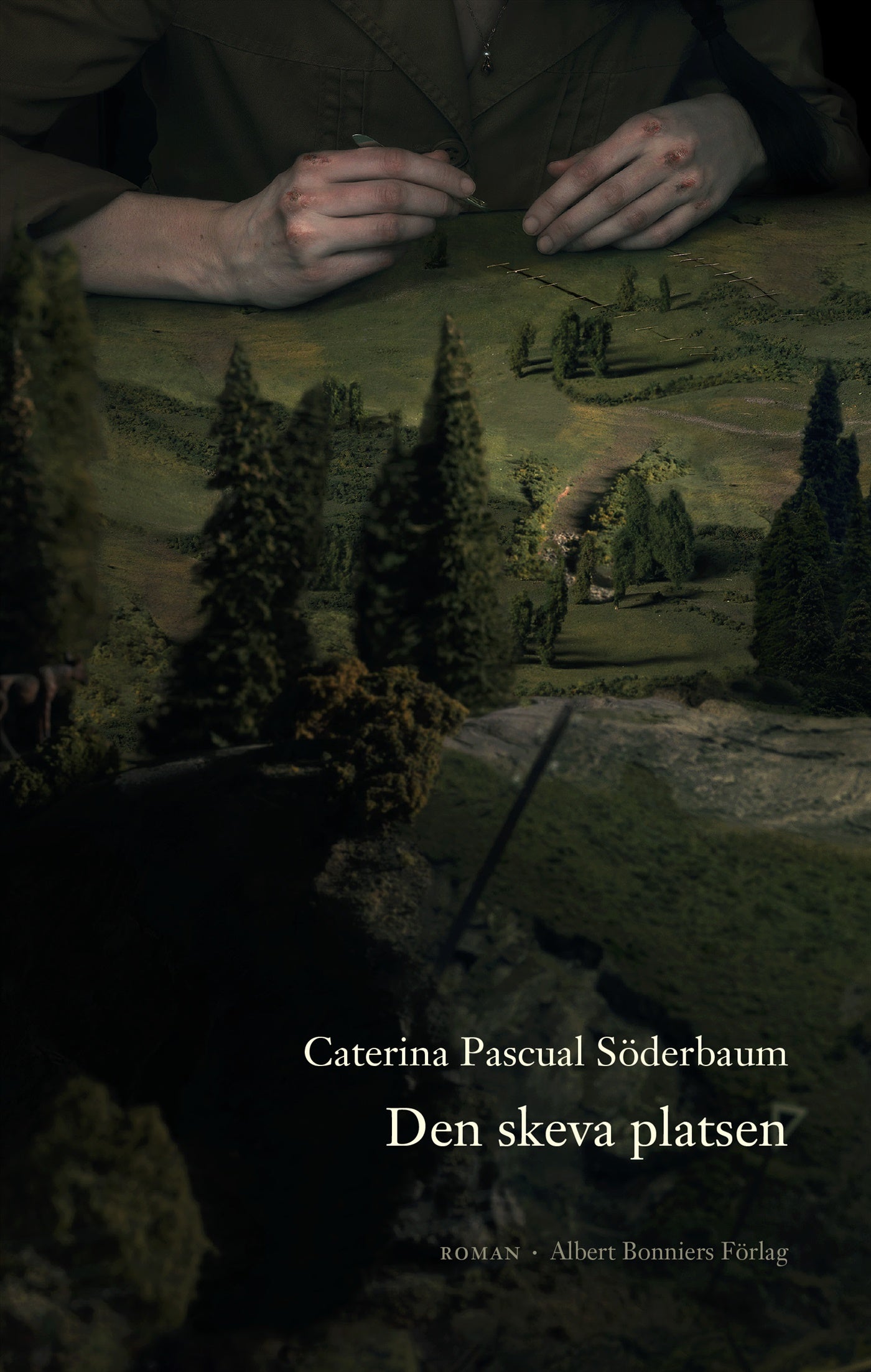 Den skeva platsen – E-bok