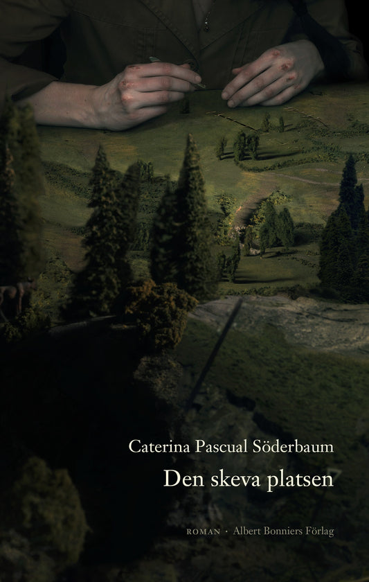 Den skeva platsen – E-bok