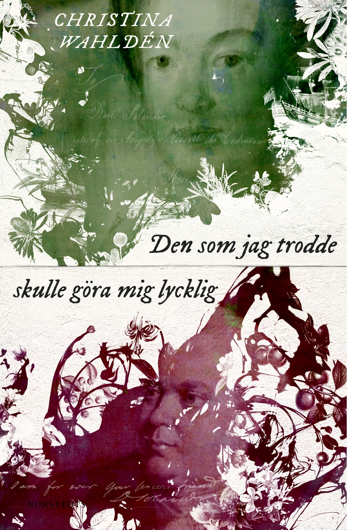 Den som jag trodde skulle göra mig lycklig – E-bok