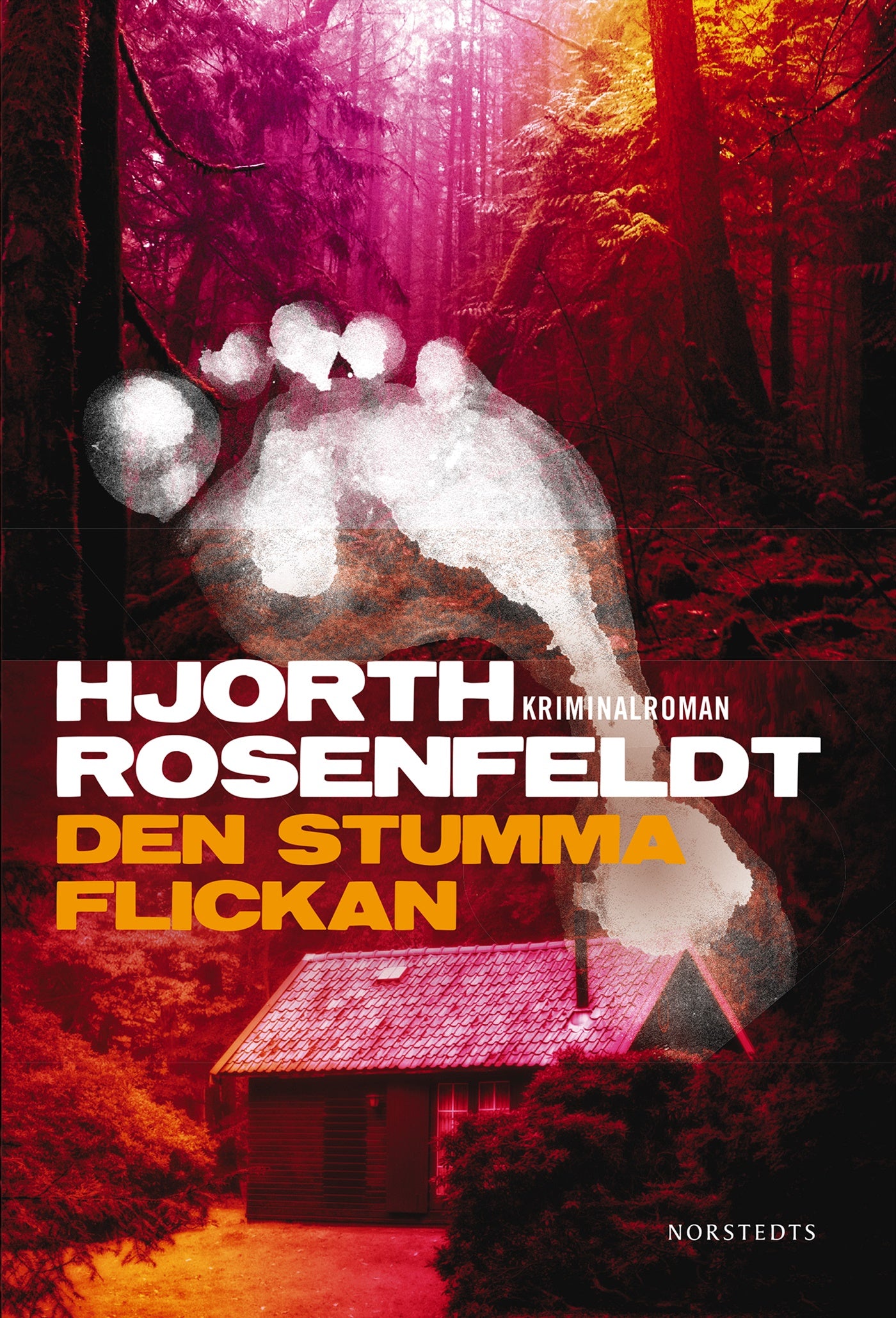 Den stumma flickan – E-bok