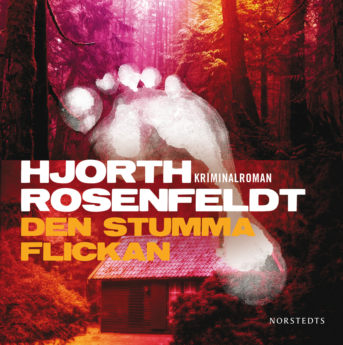 Den stumma flickan – Ljudbok