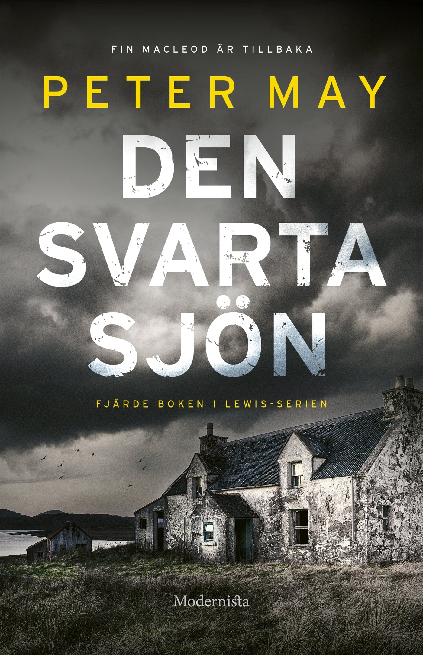 Den svarta sjön – E-bok