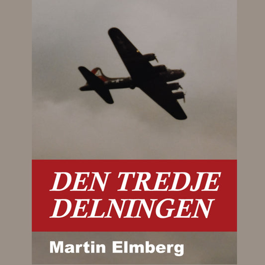 Den tredje delningen – E-bok