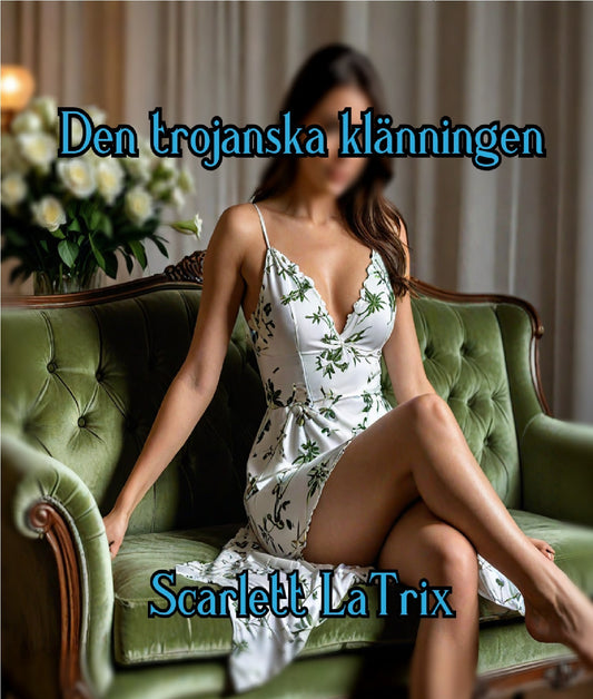 Den trojanska klänningen – E-bok