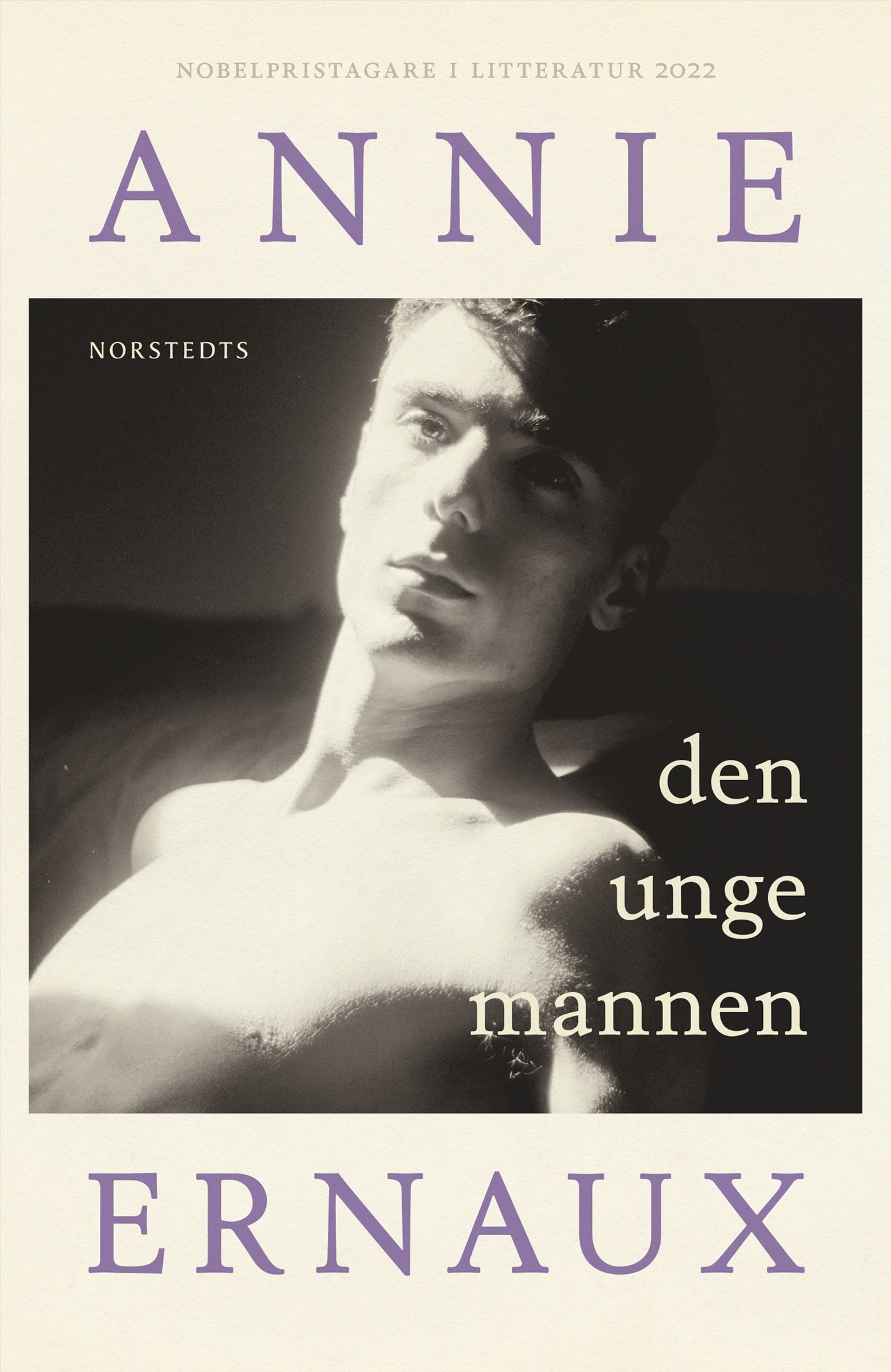 Den unge mannen – E-bok